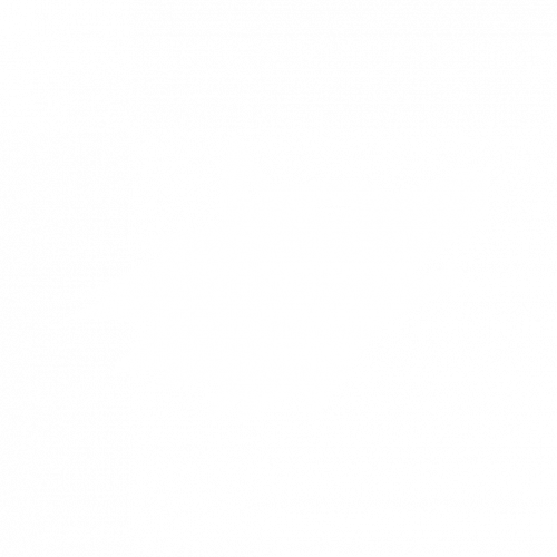 wolf png_1